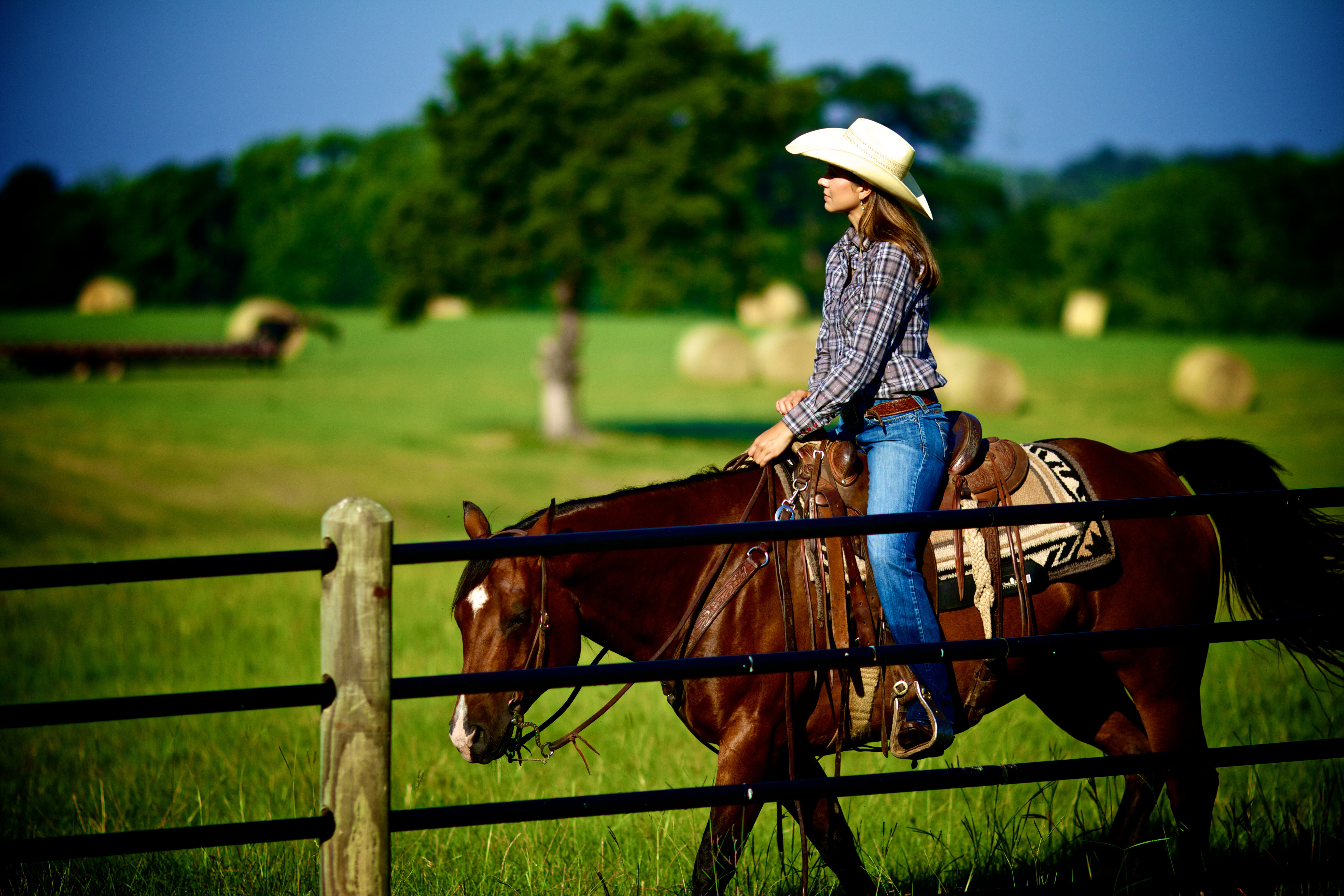 Ponderosa Fence Mesa Pate 03.jpg